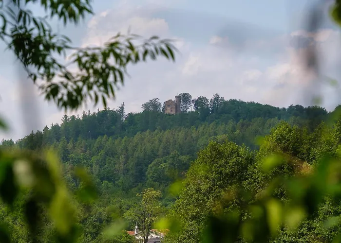 B2 Z Basenem I Strefa *